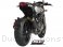 Oval R60 Exhaust by SC-Project Ducati / Monster 1100 EVO / 2012
