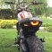 Fender Eliminator Kit by NRC Ducati / Scrambler 800 Full Throttle / 2016