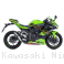  Kawasaki / Ninja ZX-4RR / 2025