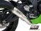  Kawasaki / Ninja ZX-10R / 2025