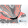  BMW / S1000RR / 2025