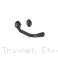  Triumph / Street Triple R 765 / 2020