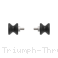  Triumph / Thruxton RS 1200 / 202