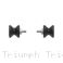  Triumph / Trident 660 / 2024