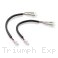  Triumph / Explorer 1200 / 2012