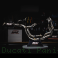 Ducati / Panigale V4 / 2019