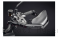 Hand Guard Protectors by Evotech Performance Ducati / Hypermotard 950 SP / 2024