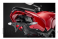 Tail Tidy Fender Eliminator by Evotech Performance Ducati / Streetfighter V4 / 2020