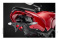 Tail Tidy Fender Eliminator by Evotech Performance Ducati / Streetfighter V4 / 2021