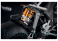  Triumph / Speed Triple 1200 RR / 2022