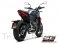  Triumph / Daytona 660 / 2024