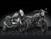 Fork Tube Guards by Rizoma Ducati / Scrambler 800 Full Throttle / 2015