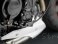 Rizoma Crankcase Slider Triumph / Street Triple RX / 2017