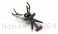 Rizoma License Plate Tail Tidy Kit Honda / CBR600RR / 2005