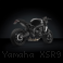  Yamaha / XSR900 / 2022