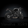  Yamaha / XSR900 / 2023