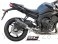 Oval Exhaust by SC-Project Yamaha / FZ8 / 2008