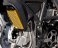 Aluminum Oil Cooler Guard by Ducabike Ducati / Scrambler 800 Cafe Racer / 2018