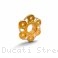 6 Hole Bi-color Rear Sprocket Carrier Flange Cover by Ducabike Ducati / Streetfighter V4 / 2023