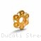 6 Hole Bi-color Rear Sprocket Carrier Flange Cover by Ducabike Ducati / Streetfighter V4S / 2020