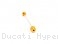 Front Fork Axle Sliders by Ducabike Ducati / Hypermotard 950 SP / 2024