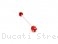 Front Fork Axle Sliders by Ducabike Ducati / Streetfighter 1098 S / 2009