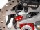  Ducati / Monster 937 SP / 2024