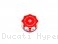 Coolant Expansion Tank Cap by Ducabike Ducati / Hypermotard 939 SP / 2016