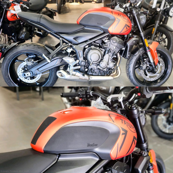  Triumph / Trident 660 / 2025