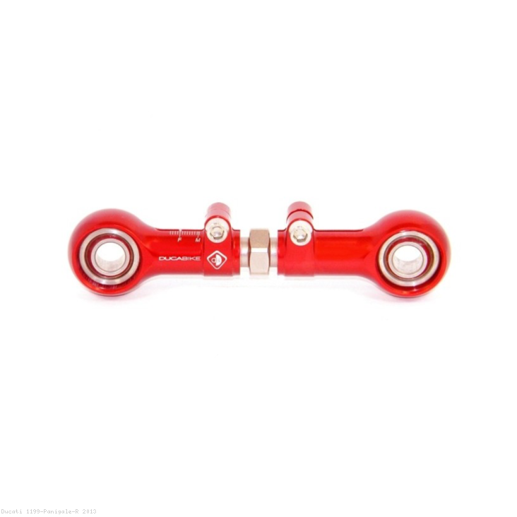  Ducati / 1199 Panigale R / 2013