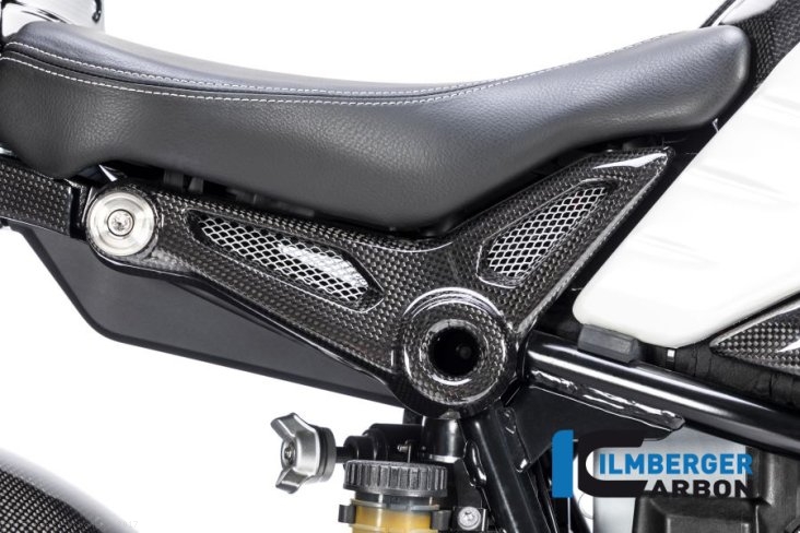 Carbon Fiber Frame Cover by Ilmberger Carbon BMW / R nineT Urban GS / 2017