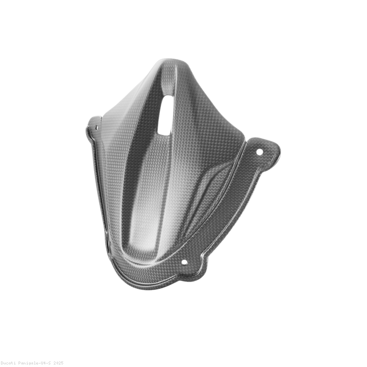  Ducati / Panigale V4 S / 2025