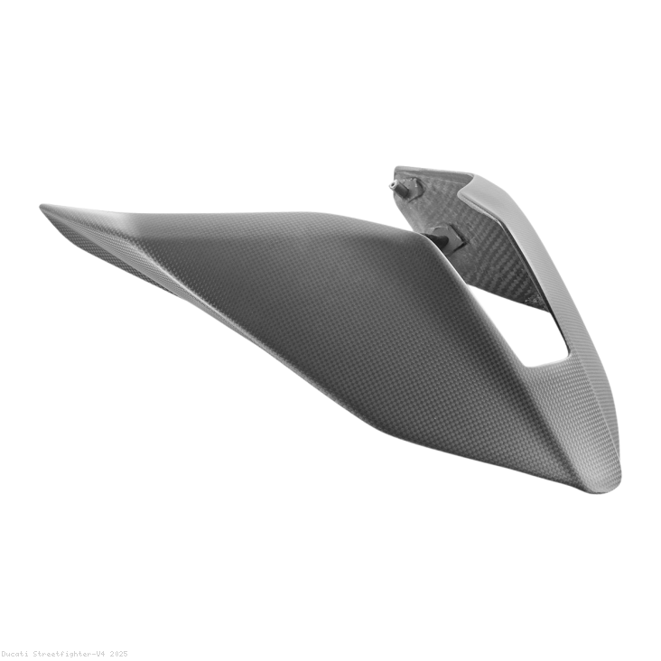  Ducati / Streetfighter V4 / 2025