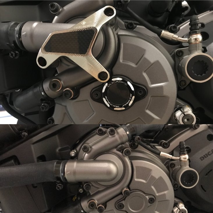 Water Pump Guard with Carbon Inlay by Ducabike Ducati / Hypermotard 950 / 2022
