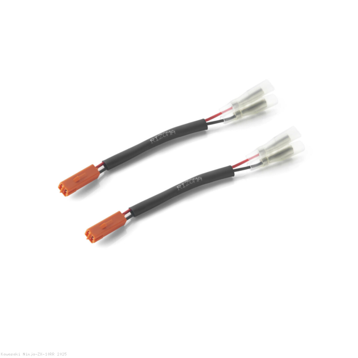  Kawasaki / Ninja ZX-10RR / 2025