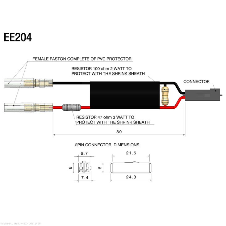  Kawasaki / Ninja ZX-10R / 2025