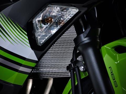 Radiator Guard by Evotech Performance