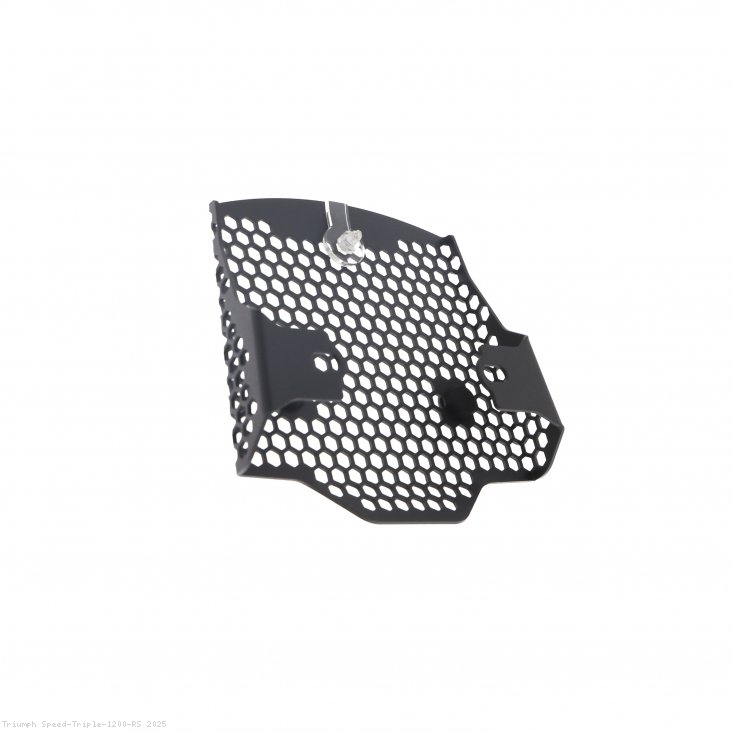  Triumph / Speed Triple 1200 RS / 2025