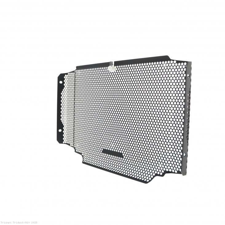  Triumph / Trident 660 / 2025