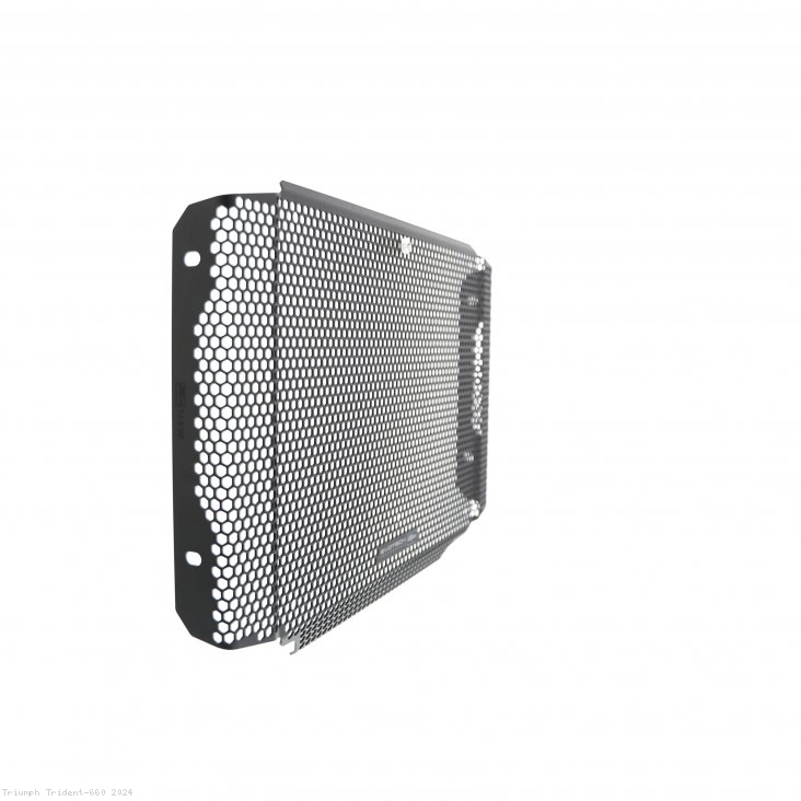  Triumph / Trident 660 / 2024