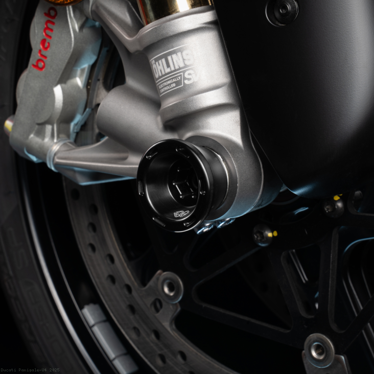  Ducati / Panigale V4 / 2025