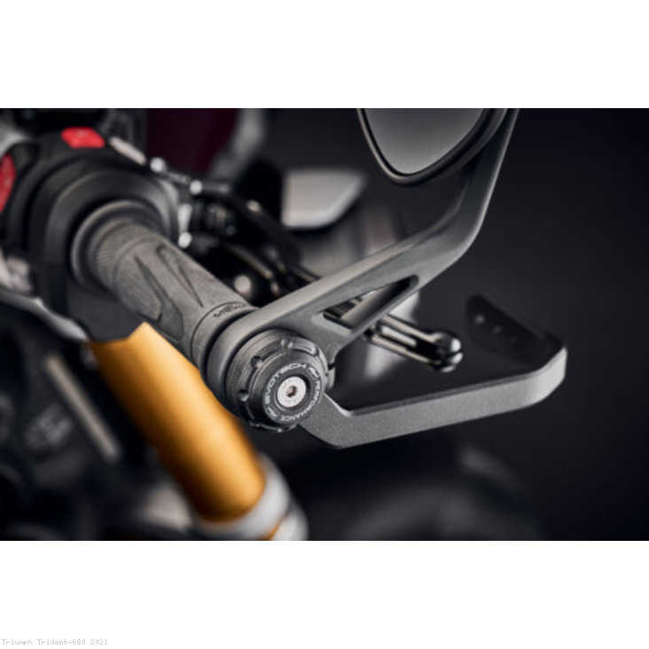  Triumph / Trident 660 / 2021