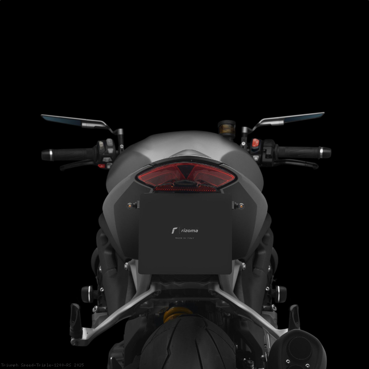  Triumph / Speed Triple 1200 RS / 2025