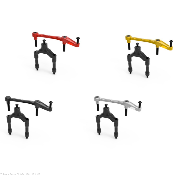  Triumph / Speed Triple 1200 RS / 2025