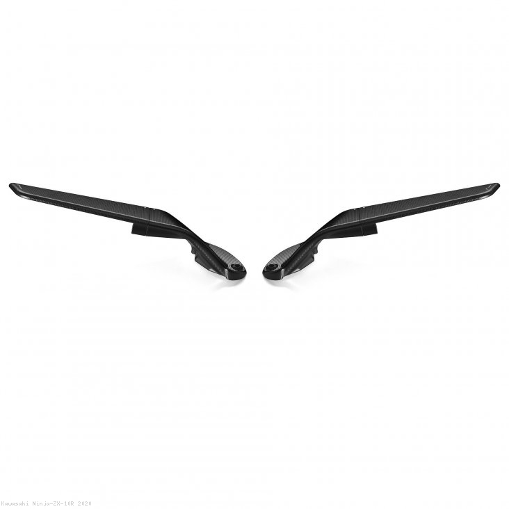  Kawasaki / Ninja ZX-10R / 2020