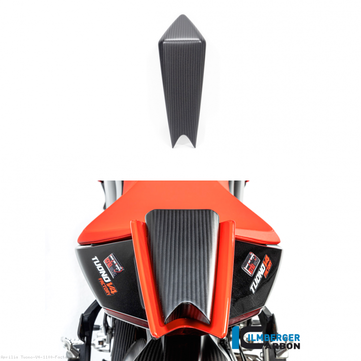  Aprilia / Tuono V4 1100 Factory / 2021