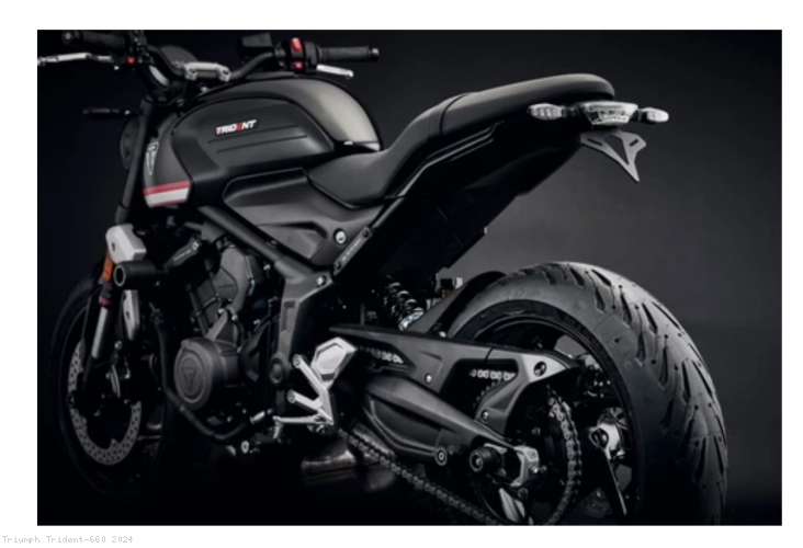  Triumph / Trident 660 / 2024