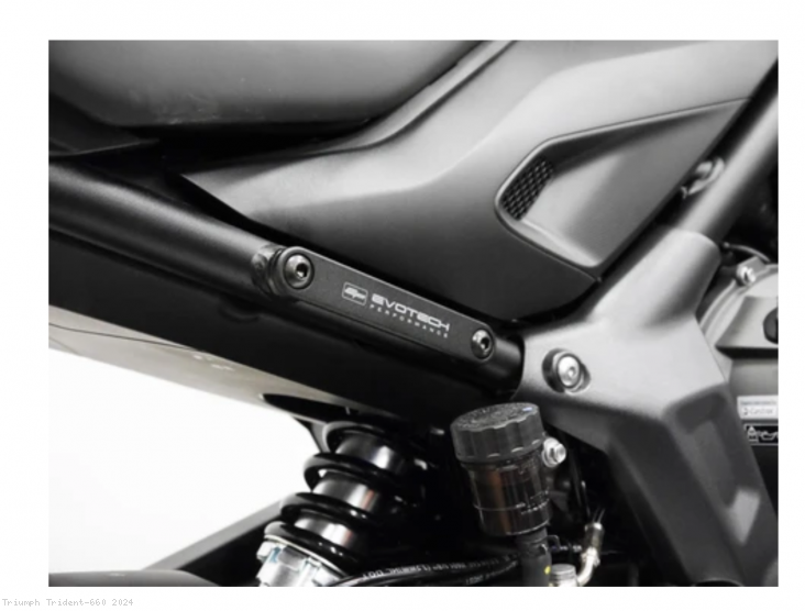  Triumph / Trident 660 / 2024