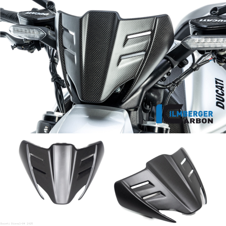  Ducati / Diavel V4 / 2025