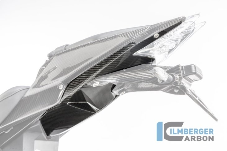 Carbon Fiber Rear Undertail Tray by Ilmberger Carbon BMW / S1000RR / 2015